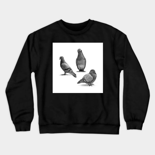 Three Pigeons Crewneck Sweatshirt by Terry Fan